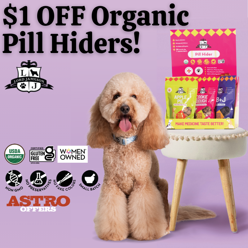 Promotion Image
