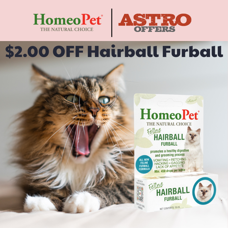 Promotion Image