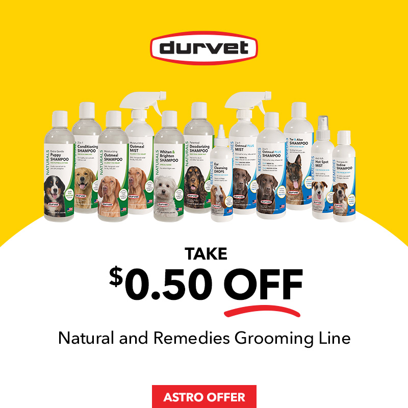 Promotion Image