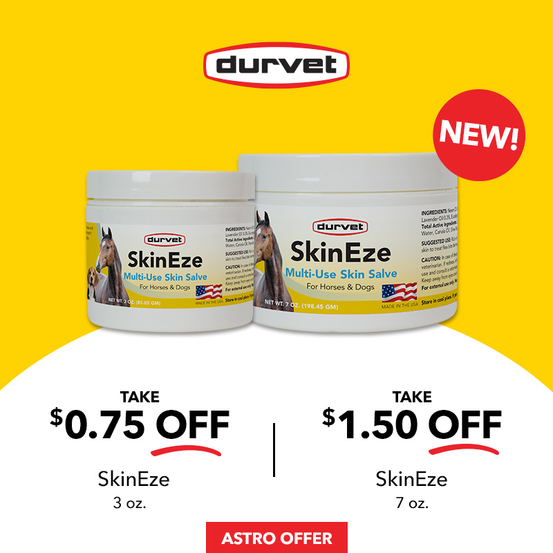 Promotion Image