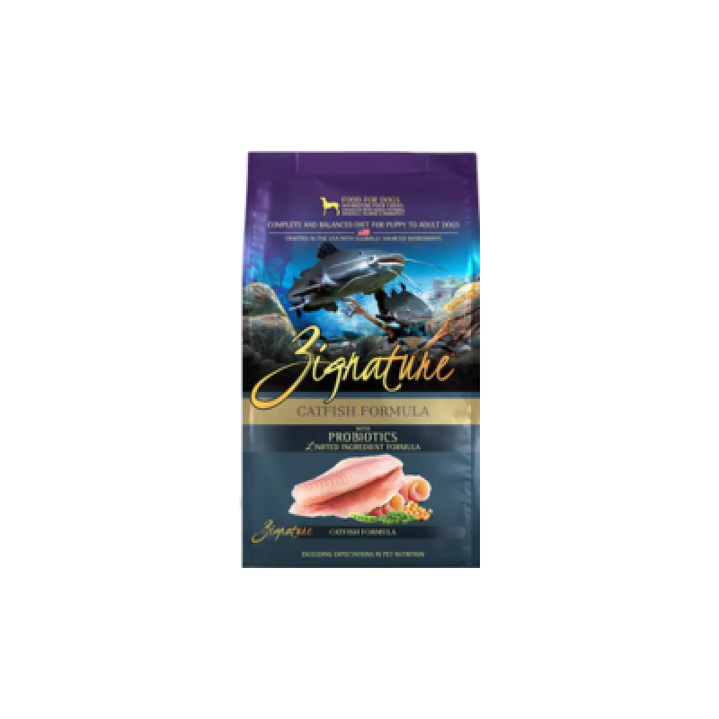 Promotion Image