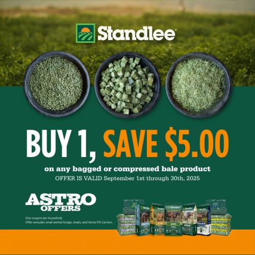 Promotion Image