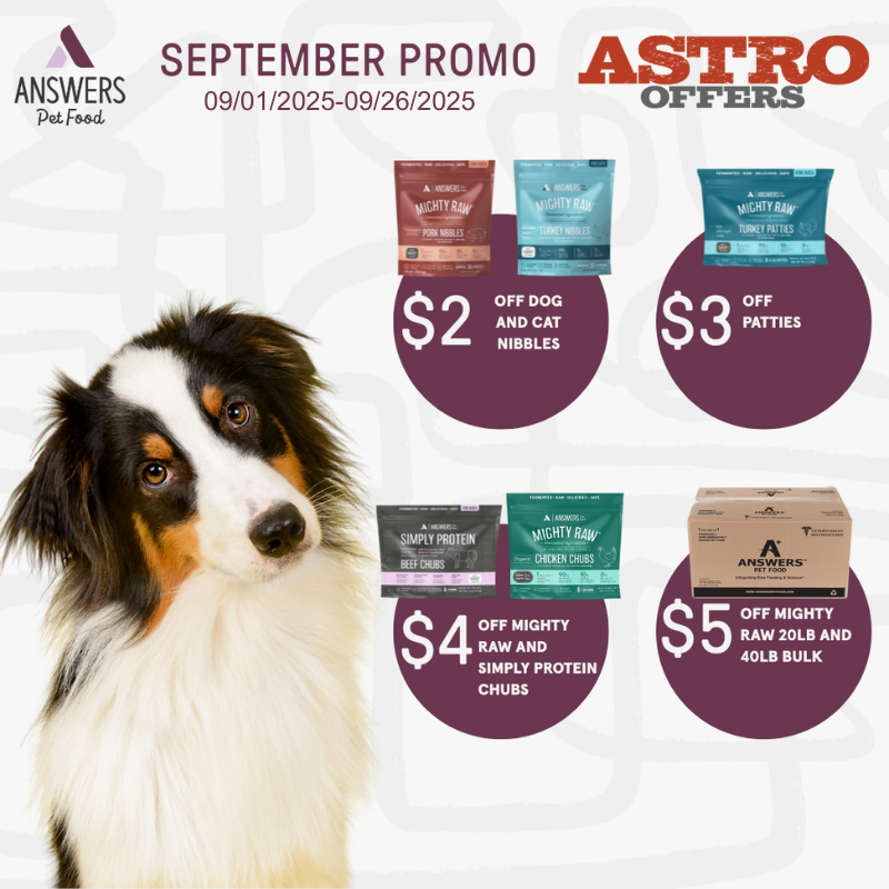 Promotion Image