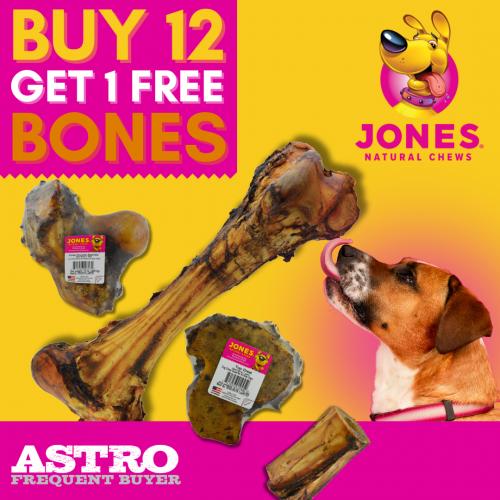 Promotion Image