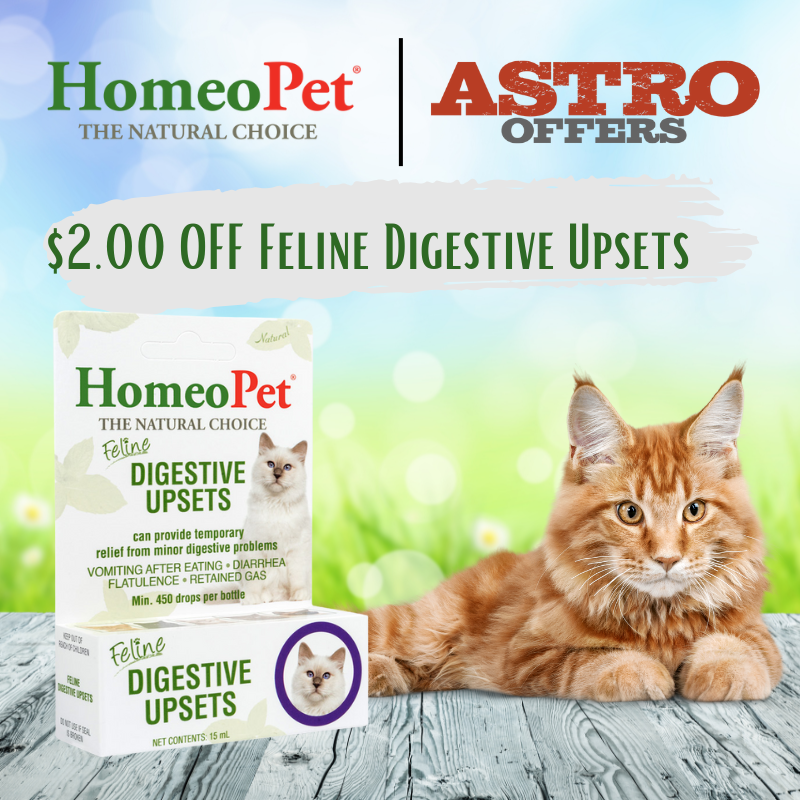 Promotion Image