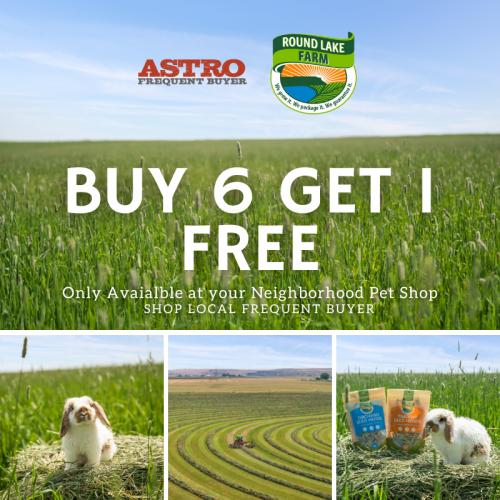 Promotion Image