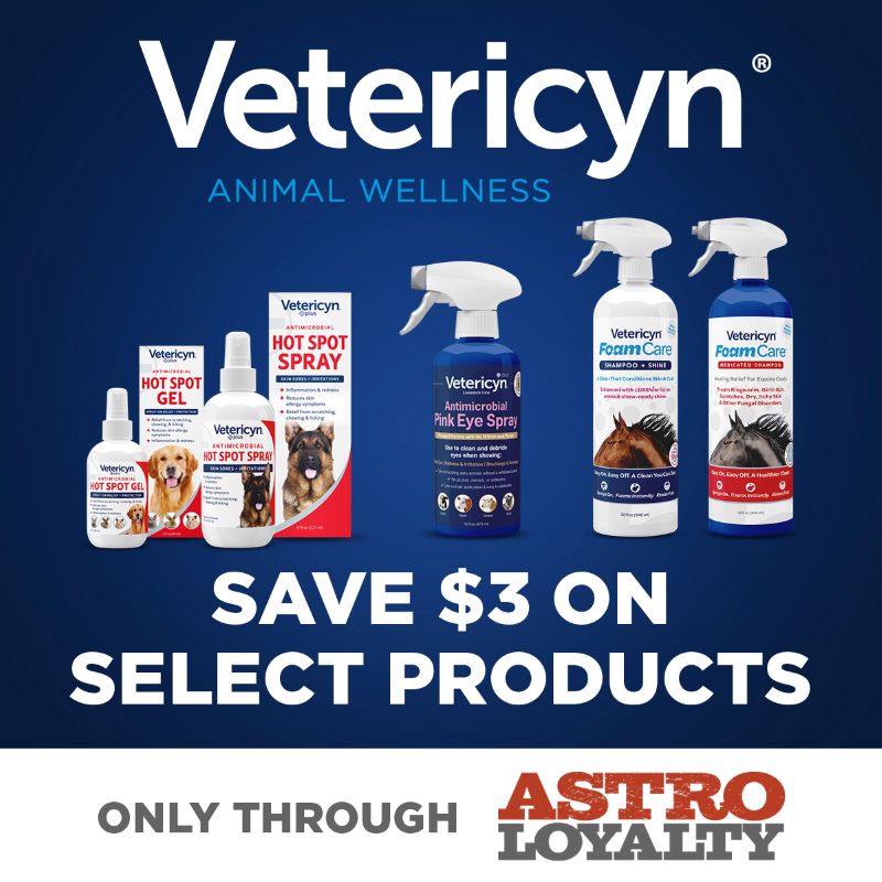 Promotion Image