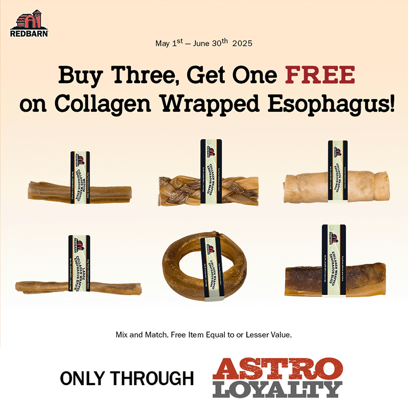 Promotion Image
