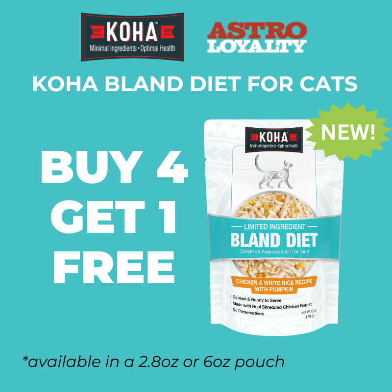 Promotion Image