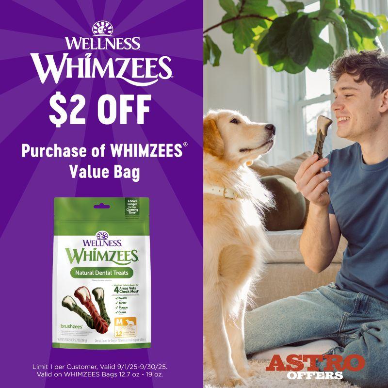 Promotion Image