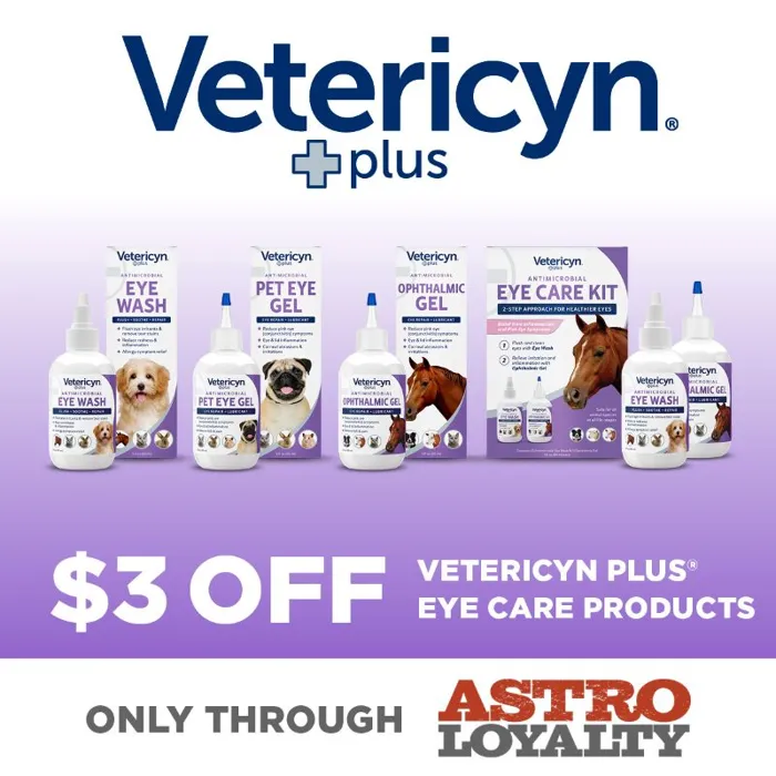 Promotion Image