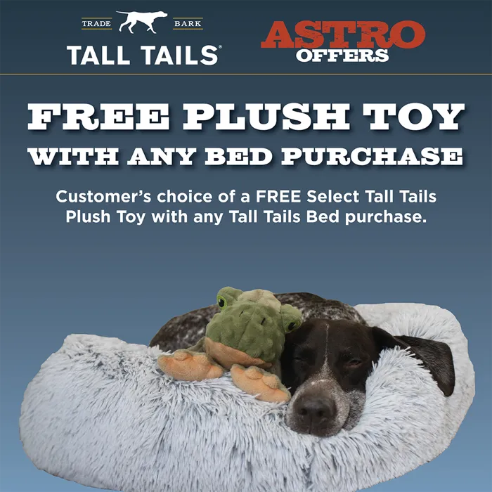 Promotion Image