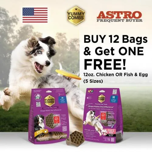 Promotion Image