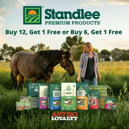 Promotion Image