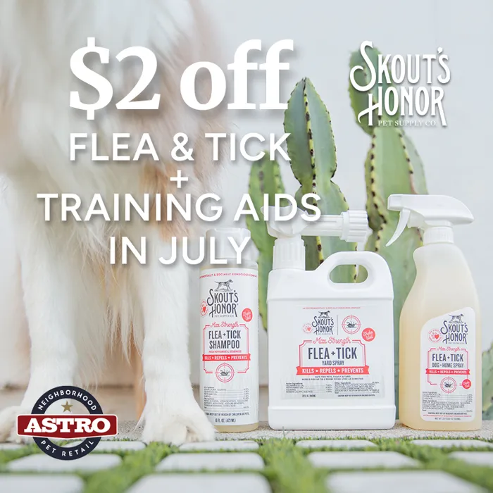 Promotion Image