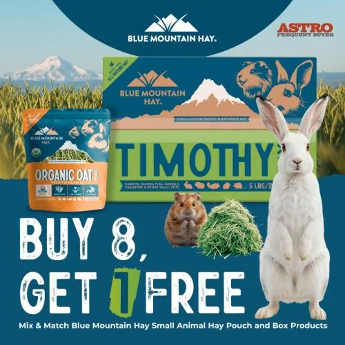 Promotion Image