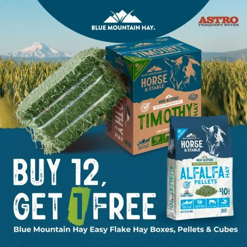 Promotion Image