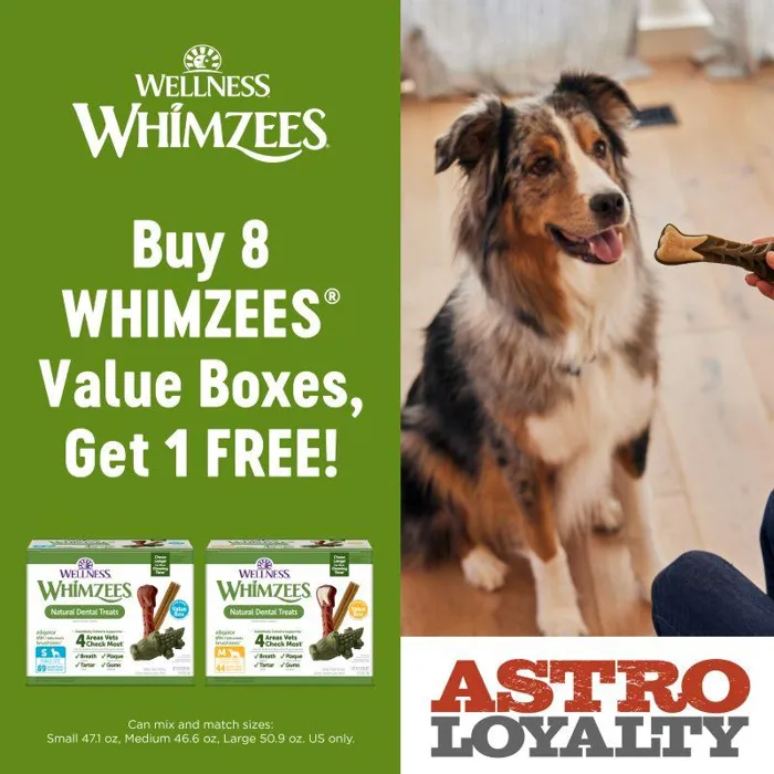 Promotion Image