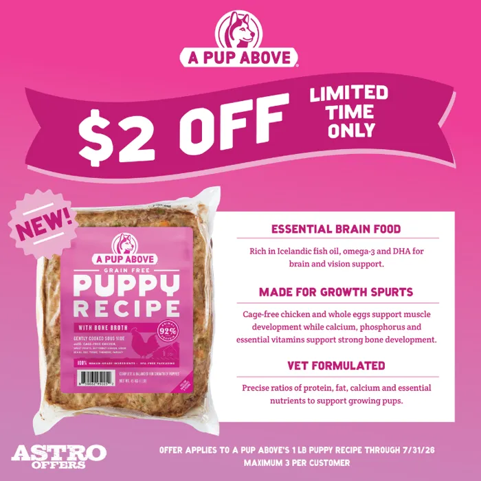 Promotion Image