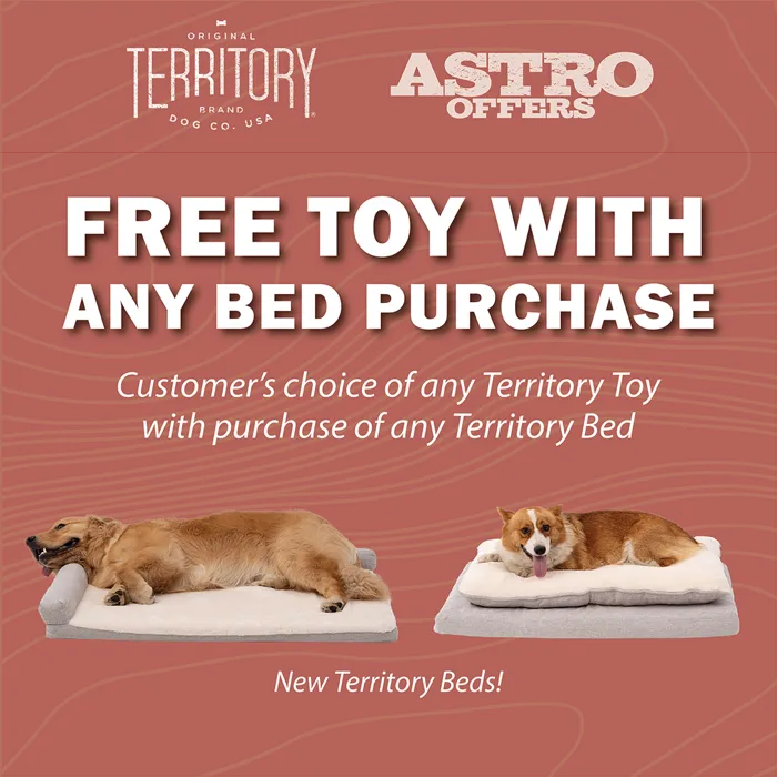 Promotion Image
