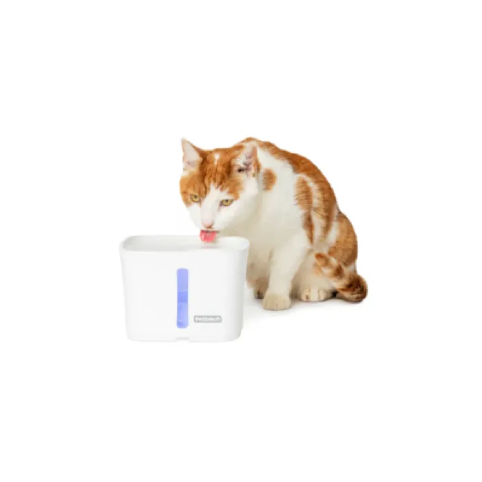 Petsafe Viva Pet Water Fountain For Cats & Small Dogs Easy to Clean 1.8-l