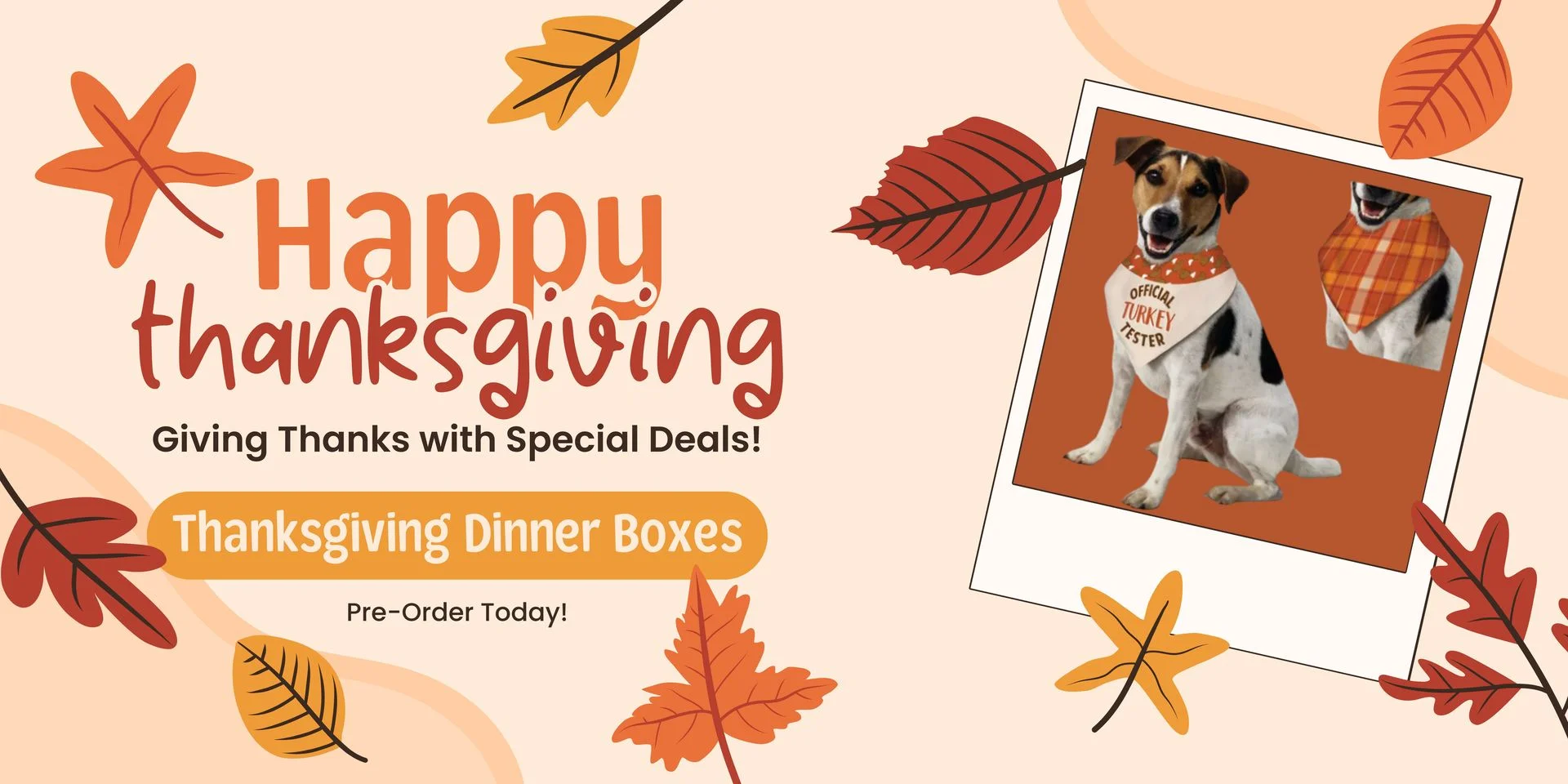 Welcome to All Pet Supplies Equine Center Home