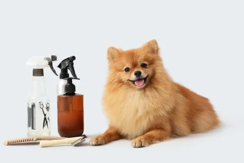 Pet grooming supplies for sale at All Pet Supplies