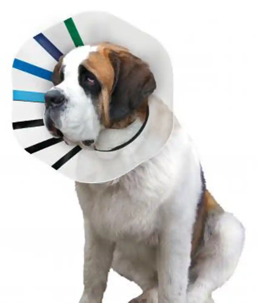 EZ Clear Collar (king)