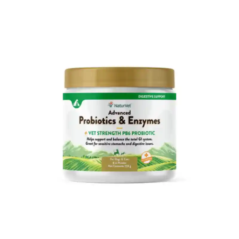 Adv Probiotic/Enzymes Pwd 8 Gm