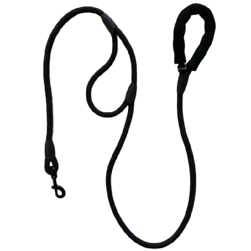 Blue Double Handle Leash 6'