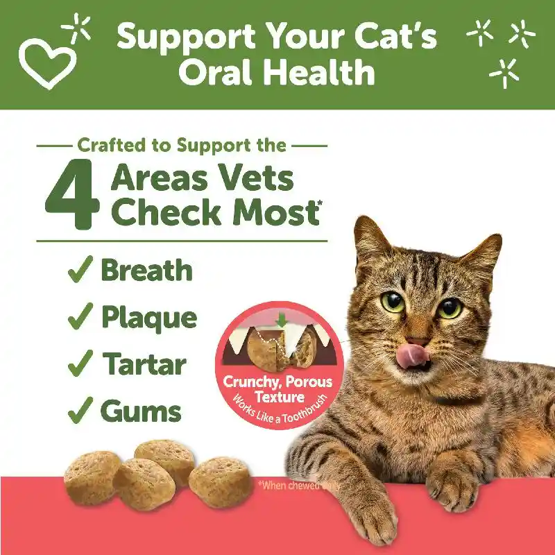 Whimzes Cat Dental Treats Chicken Salmon 2oz