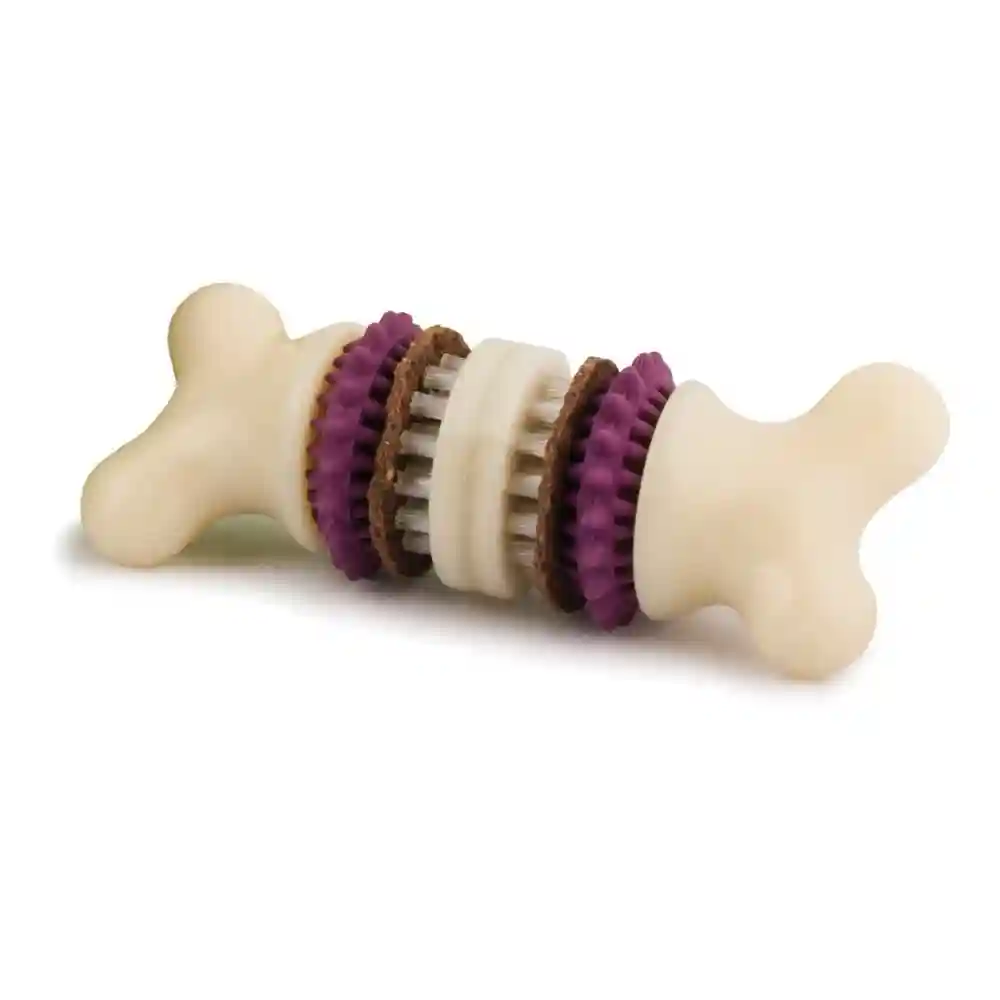 Busy Buddy Bristle Bone Xs