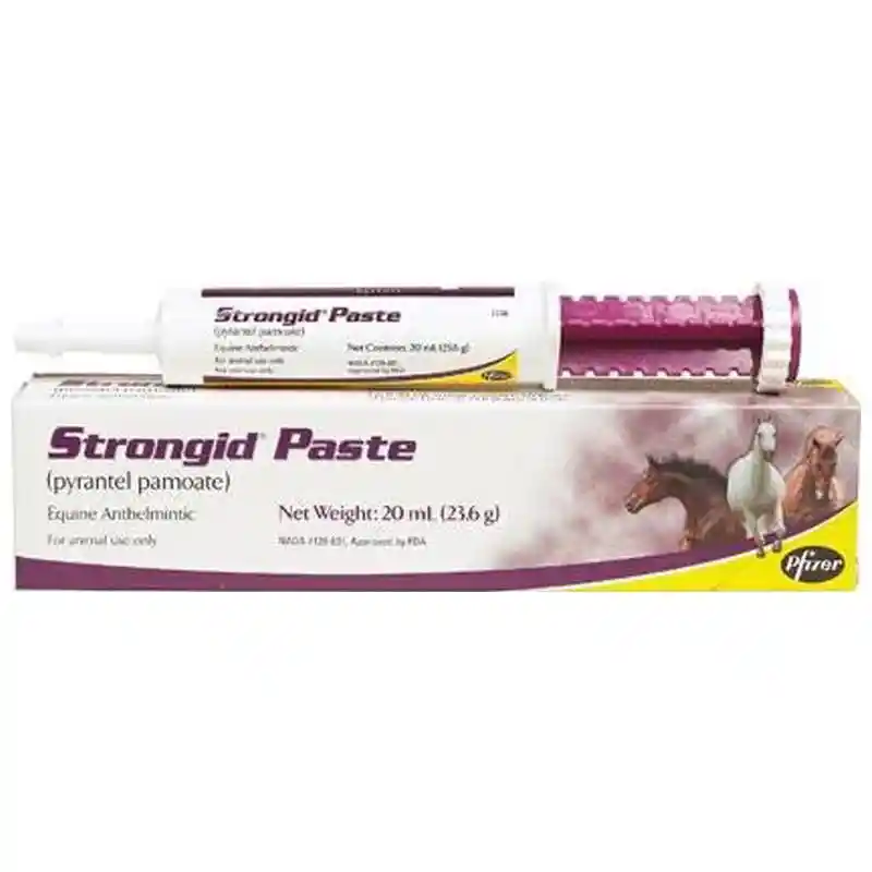 STRONGID Paste