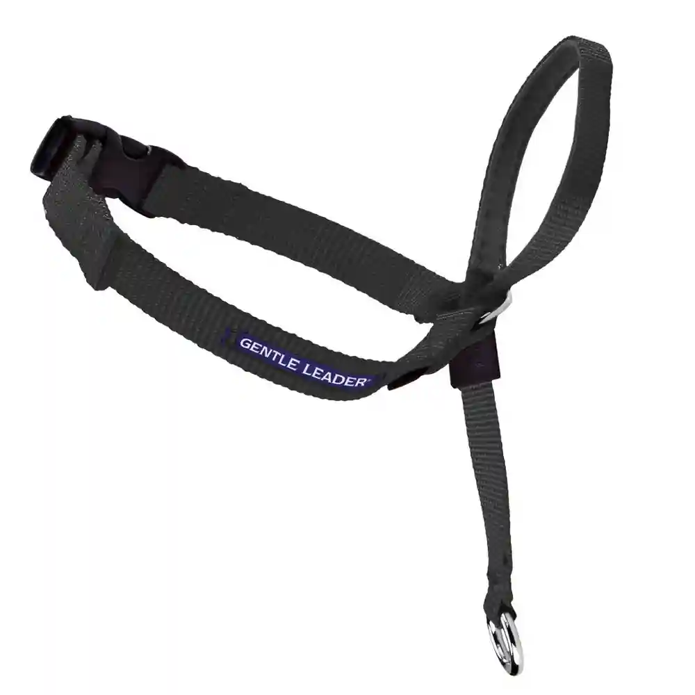 Gentle Leader Qr Xl Black
