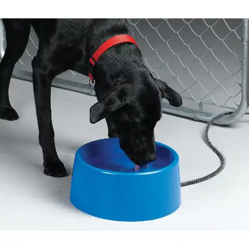 Plastic Heated Pet Bowl 5qt