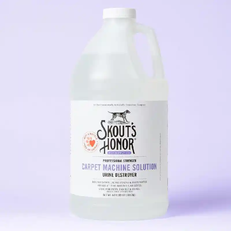 Skout Carpet Machine Solution 64oz