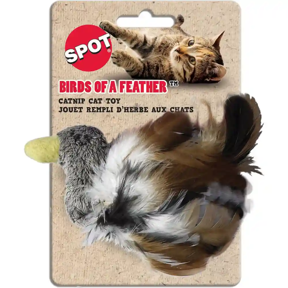 Birds of a Feather cat toy