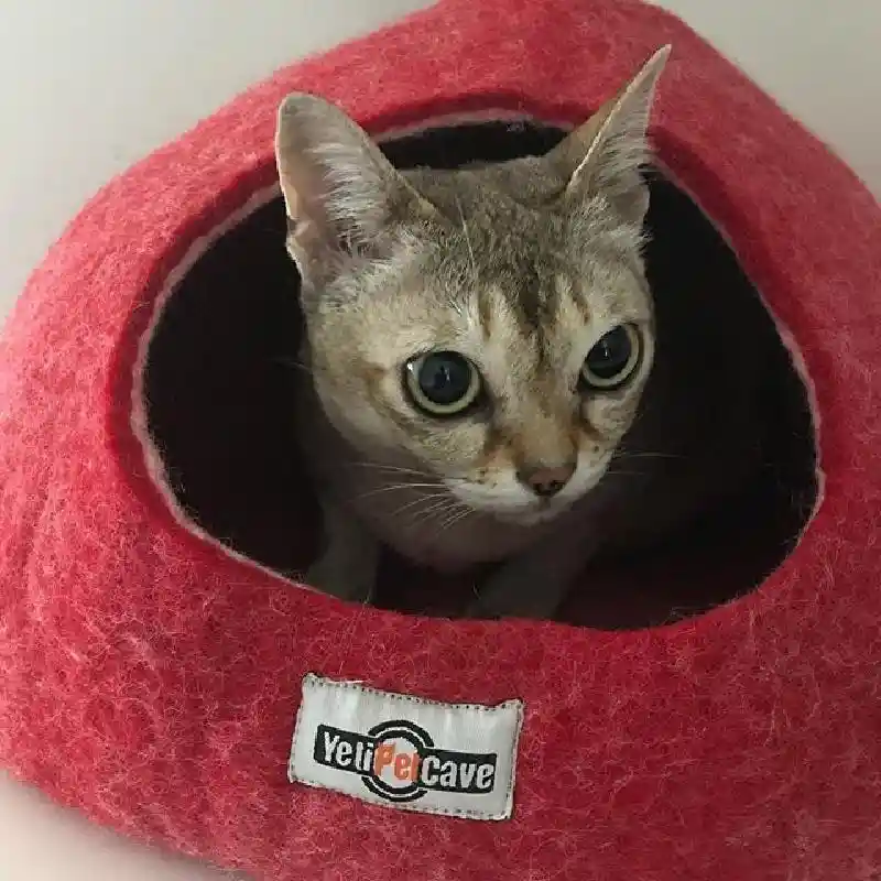 Yeti Pet Cave Red Cat