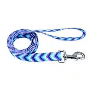 5/8" Attire Leash 6' Tpd