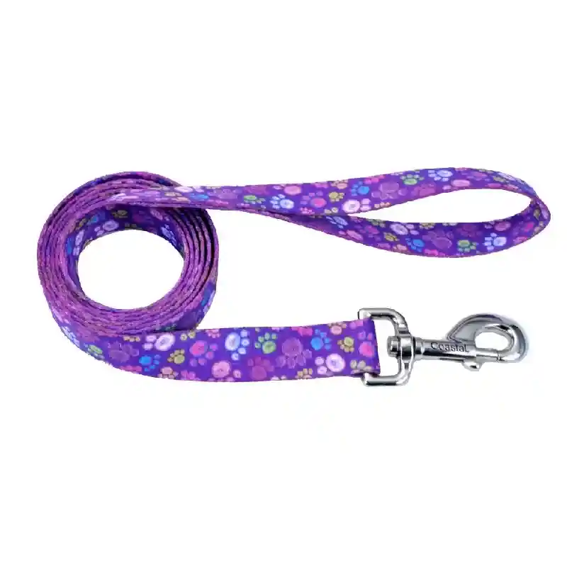 STYLES 5/8" Attire Leash 6' Spw by Coastal Pet Products