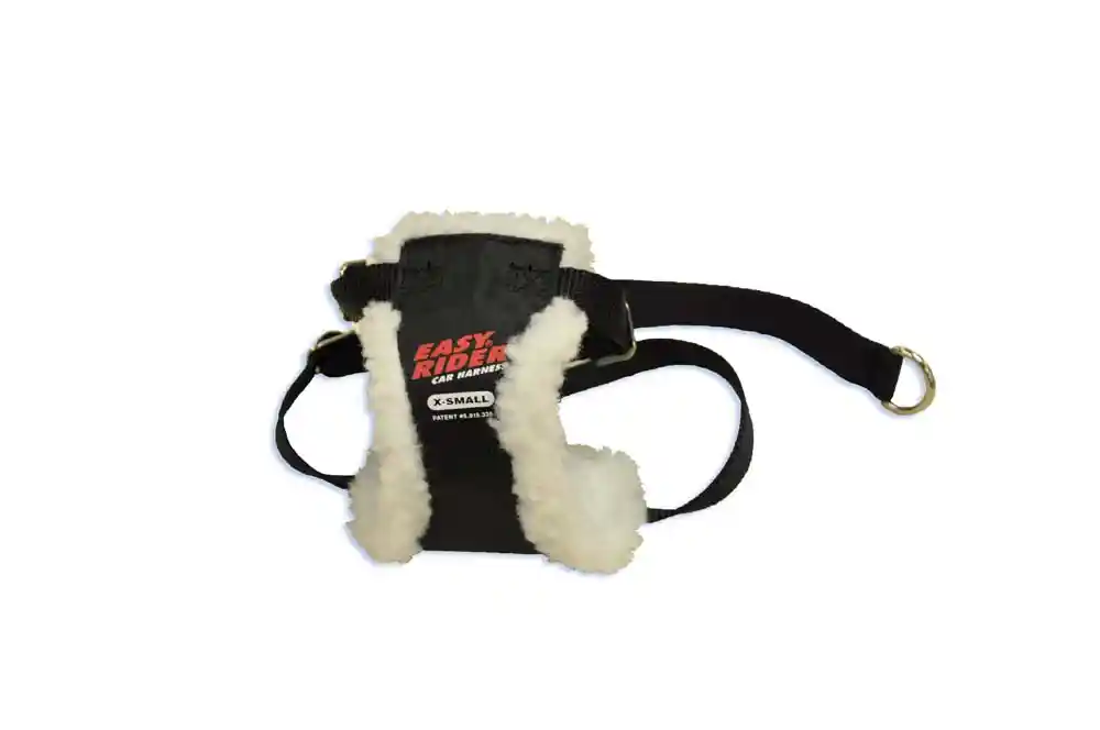 Easy Rider Ex-Sm 35700