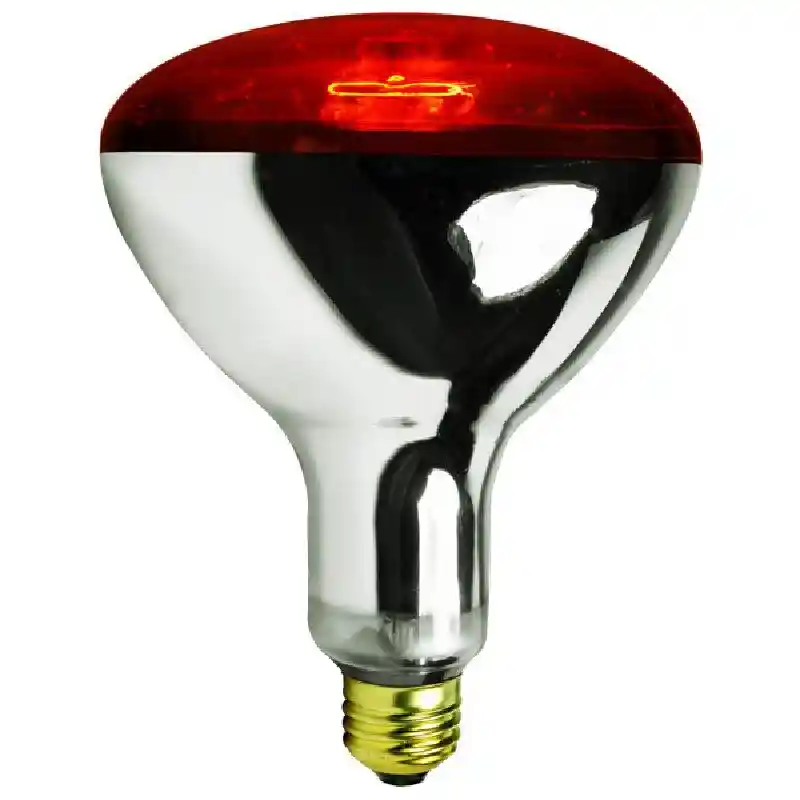 HEAT LAMP BULB 250WT RED GLASS