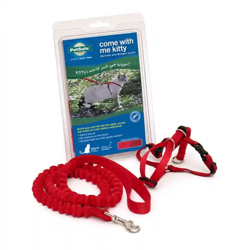 Come W/ Me Kitty Small Red