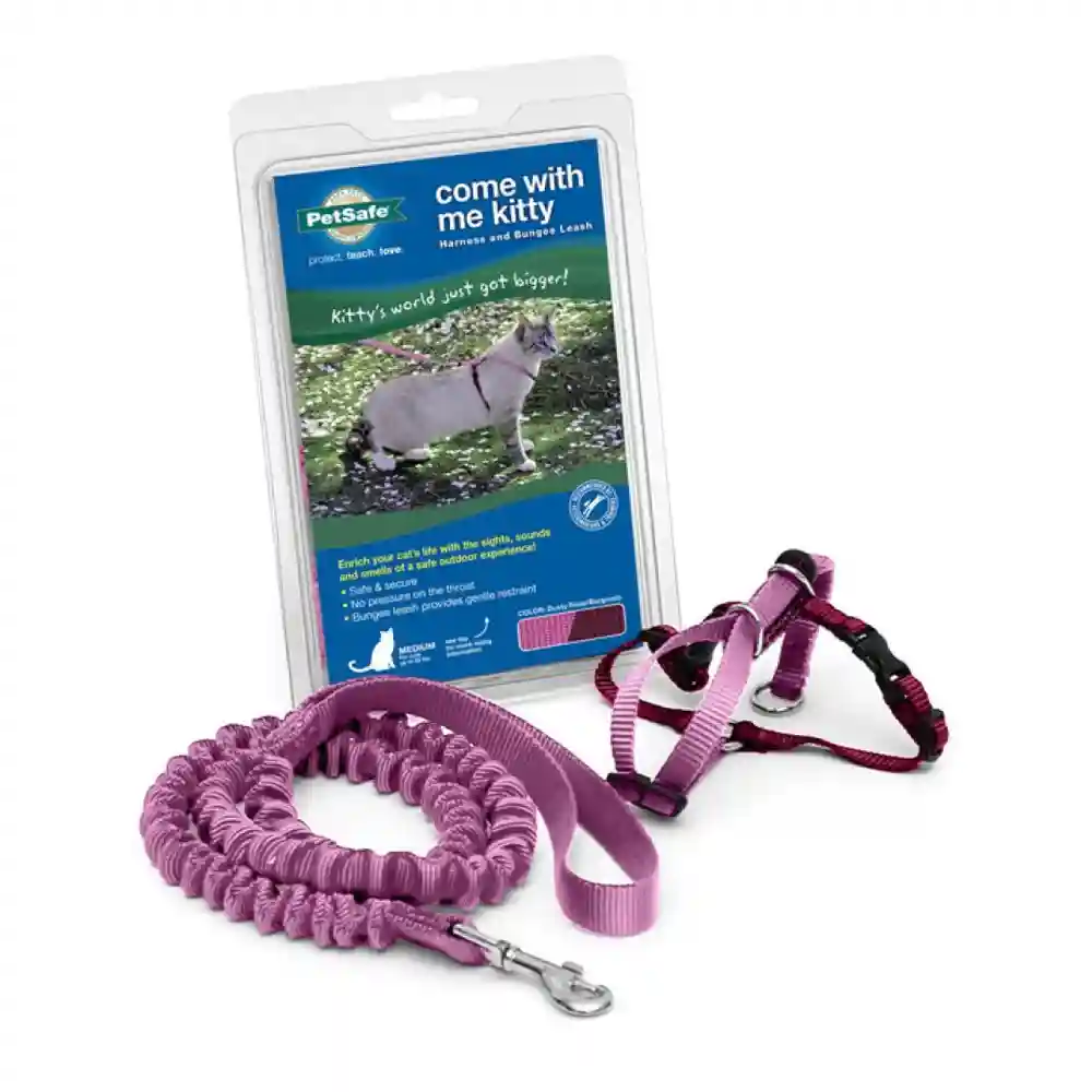 Come W/ Me Kitty Med Dust Rose