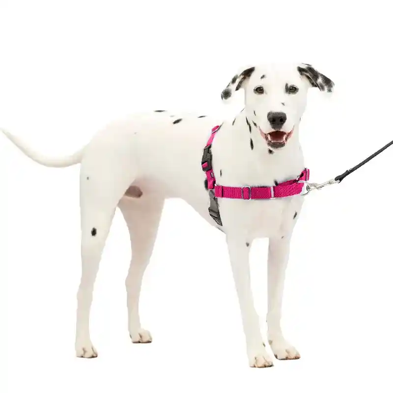Easy Walk Harness No Pull Dog Harness Med/lg Rasp