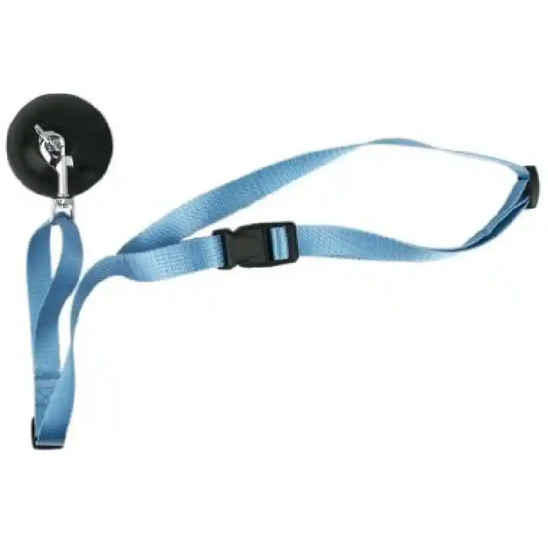 Tall Tails BATH LEASH W SUCTION CUP by 3T Brands