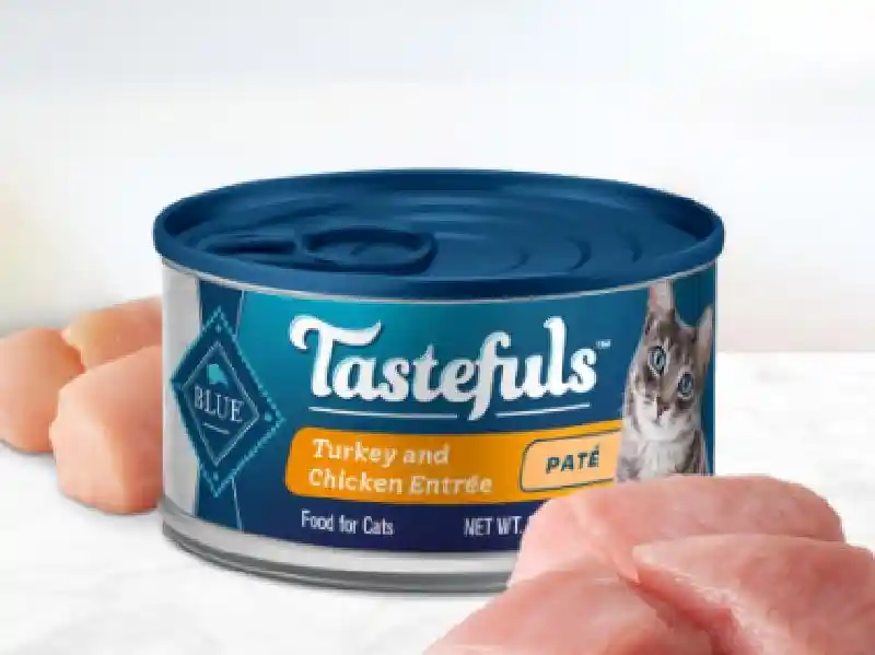 Blue Taste Cat Turkey Chick Pate 5.5z