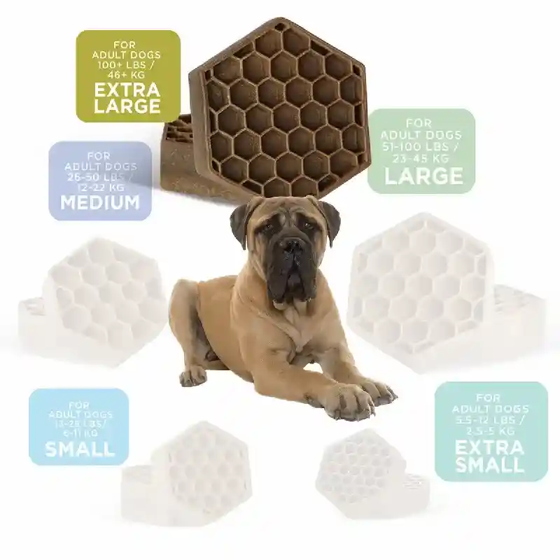 Yummy Combs Xl Hexi 8ct