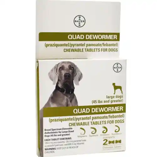 Quad Dewormer Large Dog 2ct