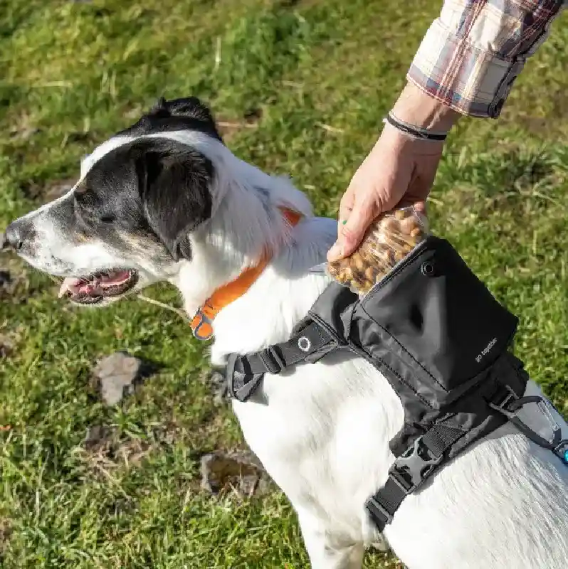 Stash N Dash Harness Black XL